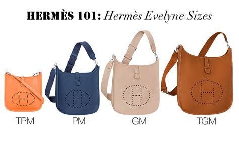 hermes evelyne pm 1|Hermes evelyne pm insert.